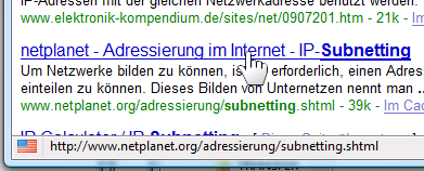 Suchergebnis einer Google-Suche